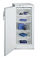 Kjøleskap Bosch GSD2201 Bilde anmeldelse