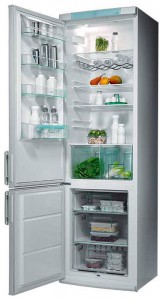 Tủ lạnh Electrolux ERB 9041 ảnh kiểm tra lại