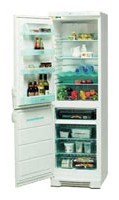 Tủ lạnh Electrolux ERB 3109 ảnh kiểm tra lại