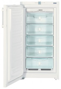 Refrigerator Liebherr GNP 2666 larawan pagsusuri