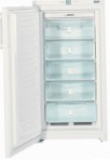 лучшая Liebherr GNP 2666 Холодильник обзор