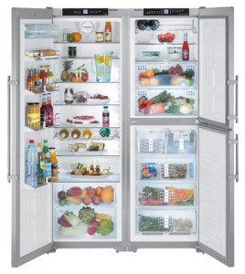 Refrigerator Liebherr SBSes 7353 larawan pagsusuri