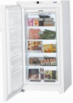 καλύτερος Liebherr GNP 2613 Ψυγείο ανασκόπηση