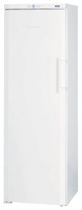Refrigerator Liebherr GNP 3013 larawan pagsusuri