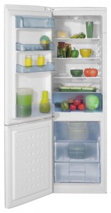 Холодильник BEKO CS 332020 Фото обзор