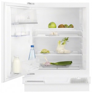 Refrigerator Electrolux ERN 1300 AOW larawan pagsusuri