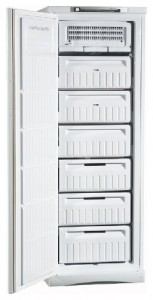 Kühlschrank Indesit SFR 167 NF Foto Rezension