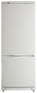 Холодильник ATLANT ХМ 4009-022 Фото обзор