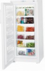 pinakamahusay Liebherr G 3013 Refrigerator pagsusuri