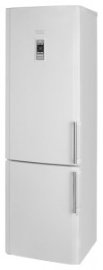 Kühlschrank Hotpoint-Ariston HBU 1201.4 NF H O3 Foto Rezension