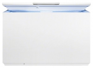 Refrigerator Electrolux EC 4201 AOW larawan pagsusuri