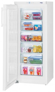 Холодильник Liebherr GP 2433 Фото обзор