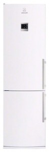 Холодильник Electrolux EN 3488 AOW Фото обзор