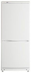 Kühlschrank ATLANT ХМ 4098-022 Foto Rezension