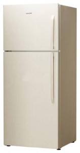 Холодильник Hisense RD-65WR4SAY фото огляд