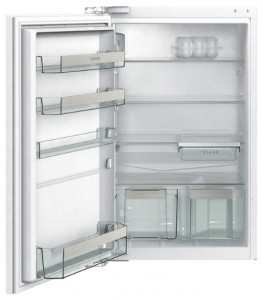 Refrigerator Gorenje GDR 67088 larawan pagsusuri