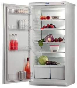 Refrigerator Pozis Свияга 513-3 larawan pagsusuri