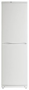 Refrigerator ATLANT ХМ 6093-031 larawan pagsusuri