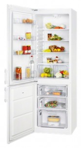Refrigerator Zanussi ZRB 35180 WА larawan pagsusuri