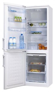 Refrigerator Hansa FK323.3 larawan pagsusuri