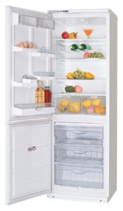 Kühlschrank ATLANT ХМ 5091-016 Foto Rezension