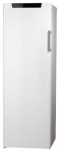 Refrigerator Hisense RS-30WC4SAW larawan pagsusuri