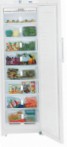 лучшая Liebherr SGN 3010 Холодильник обзор