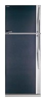 Kühlschrank Toshiba GR-YG74RDA GB Foto Rezension