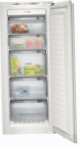 найкраща Siemens GI25NP60 Холодильник огляд