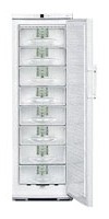 Refrigerator Liebherr G 3123 larawan pagsusuri