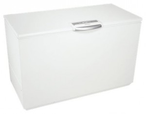 Refrigerator Electrolux ECF 23461 W larawan pagsusuri