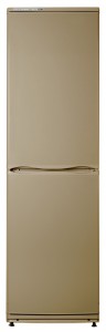 Kühlschrank ATLANT ХМ 6025-150 Foto Rezension