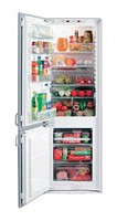 Kjøleskap Electrolux ERN 2921 Bilde anmeldelse