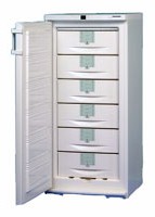 Refrigerator Liebherr GSS 2723 larawan pagsusuri