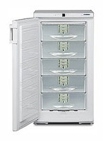 Холодильник Liebherr GSS 2226 Фото обзор