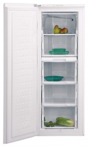 Холодильник BEKO FSE 21906 Фото обзор