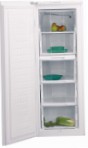tốt nhất BEKO FSE 21906 Tủ lạnh kiểm tra lại