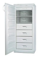 Холодильник Snaige F245-1704A Фото обзор