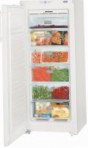 лучшая Liebherr GNP 2303 Холодильник обзор