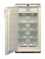 Refrigerator Liebherr GSN 2023 larawan pagsusuri