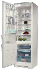 Tủ lạnh Electrolux ERF 3700 ảnh kiểm tra lại