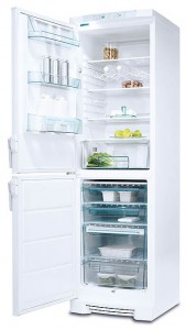Холодильник Electrolux ERB 3911 Фото обзор