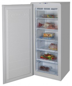 Køleskab NORD 155-3-410 Foto anmeldelse
