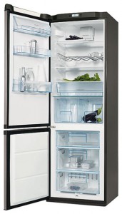 Refrigerator Electrolux ERA 36633 X larawan pagsusuri