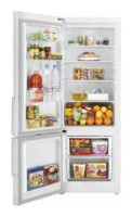 Kühlschrank Samsung RL-29 THCSW Foto Rezension