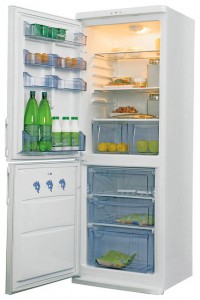 Холодильник Candy CCM 360 SL Фото обзор