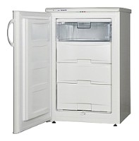 Холодильник Snaige F100-1101АА Фото обзор