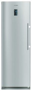 Kjøleskap Samsung RR-92 EERS Bilde anmeldelse