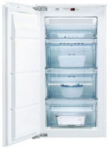 Холодильник AEG AN 91050 4I Фото обзор