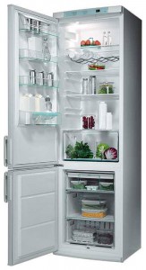 Refrigerator Electrolux ERB 9048 larawan pagsusuri